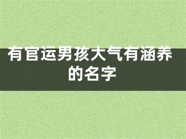 有官运男孩大气有涵养的名字