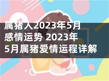 属猪人2023年5月感情运势 2023年5月属猪爱情运程详解