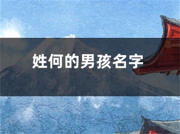 姓何的男孩名字