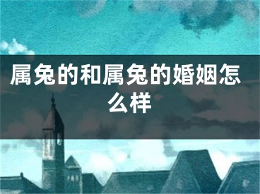 属兔的和属兔的婚姻怎么样