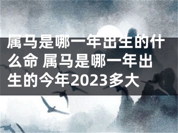 属马是哪一年出生的什么命 属马是哪一年出生的今年2023多大
