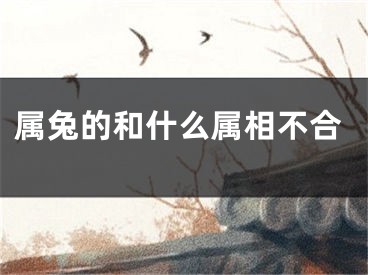 属兔的和什么属相不合