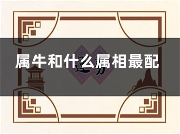 属牛和什么属相最配