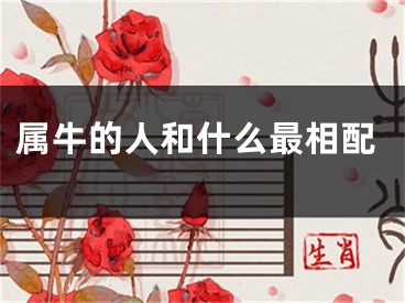 属牛的人和什么最相配