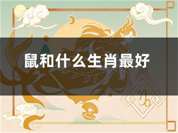 鼠和什么生肖最好