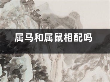 属马和属鼠相配吗