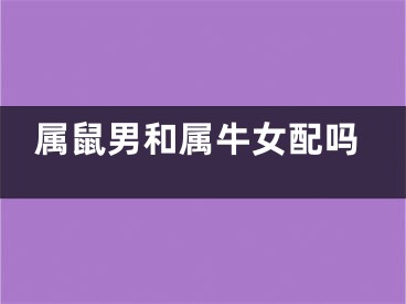 属鼠男和属牛女配吗
