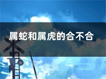 属蛇和属虎的合不合