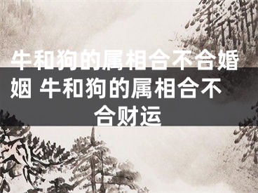 牛和狗的属相合不合婚姻 牛和狗的属相合不合财运