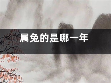 属兔的是哪一年