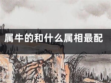 属牛的和什么属相最配