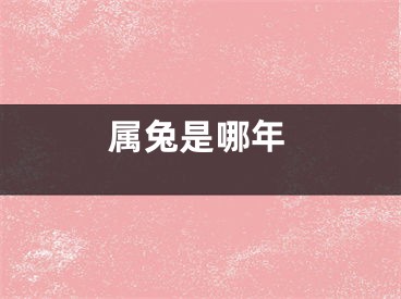 属兔是哪年