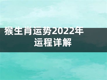 猴生肖运势2022年运程详解