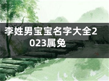 李姓男宝宝名字大全2023属兔