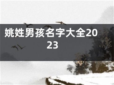 姚姓男孩名字大全2023