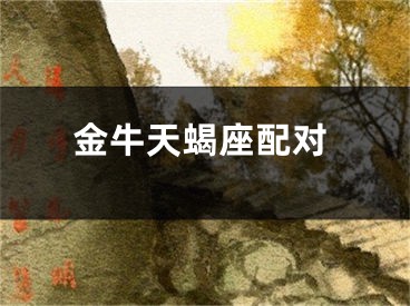 金牛天蝎座配对