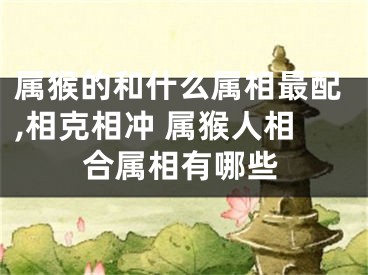 属猴的和什么属相最配,相克相冲 属猴人相合属相有哪些