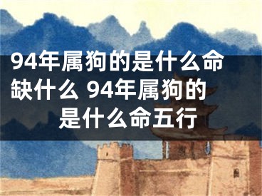 94年属狗的是什么命缺什么 94年属狗的是什么命五行