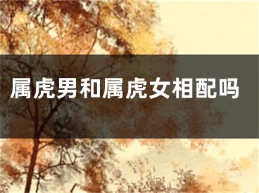 属虎男和属虎女相配吗