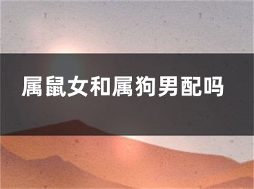 属鼠女和属狗男配吗