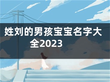 姓刘的男孩宝宝名字大全2023