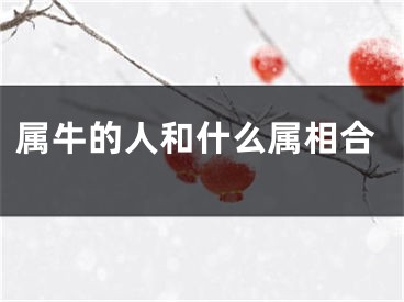 属牛的人和什么属相合