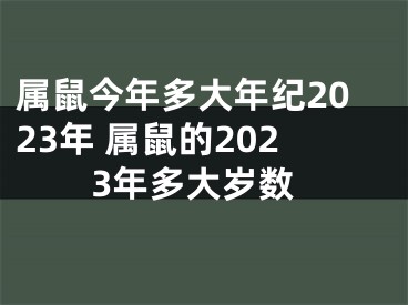属鼠今年多大年纪2023年 属鼠的2023年多大岁数