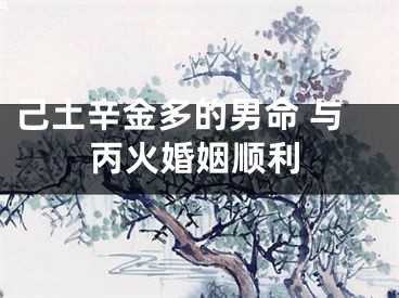 己土辛金多的男命 与丙火婚姻顺利