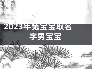 2023年兔宝宝取名字男宝宝