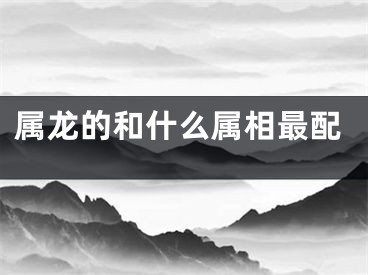 属龙的和什么属相最配