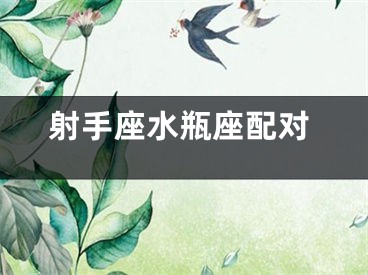 射手座水瓶座配对