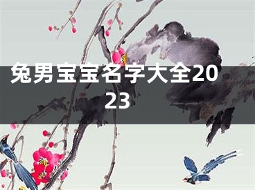 兔男宝宝名字大全2023