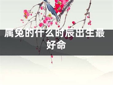 属兔的什么时辰出生最好命