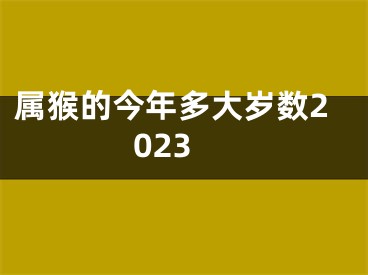 属猴的今年多大岁数2023
