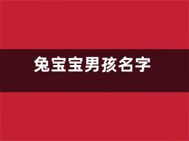 兔宝宝男孩名字