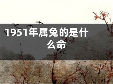 1951年属兔的是什么命