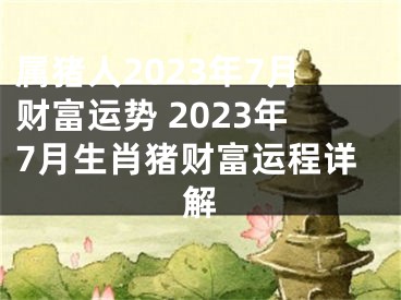属猪人2023年7月财富运势 2023年7月生肖猪财富运程详解