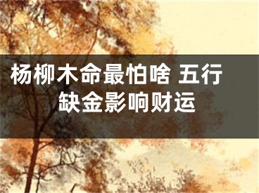 杨柳木命最怕啥 五行缺金影响财运