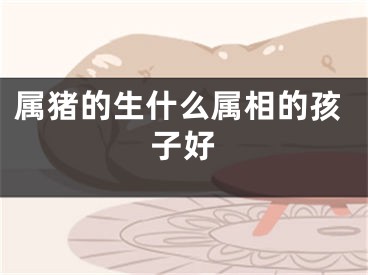 属猪的生什么属相的孩子好