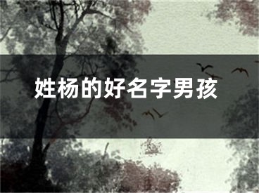 姓杨的好名字男孩