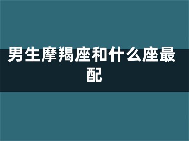 男生摩羯座和什么座最配