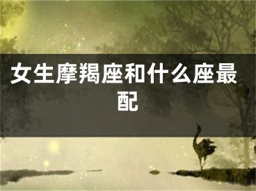 女生摩羯座和什么座最配