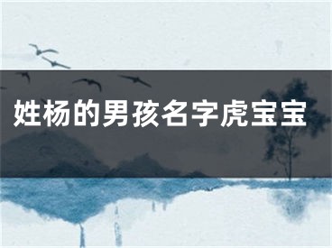 姓杨的男孩名字虎宝宝