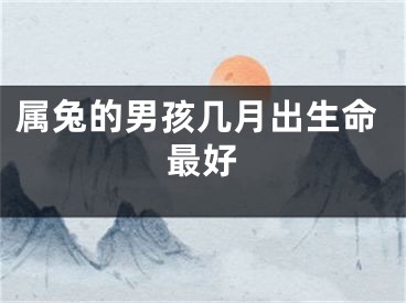 属兔的男孩几月出生命最好