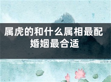 属虎的和什么属相最配婚姻最合适