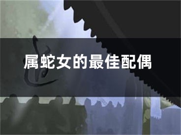 属蛇女的最佳配偶