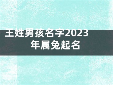 王姓男孩名字2023年属兔起名