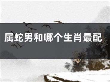 属蛇男和哪个生肖最配