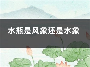 水瓶是风象还是水象