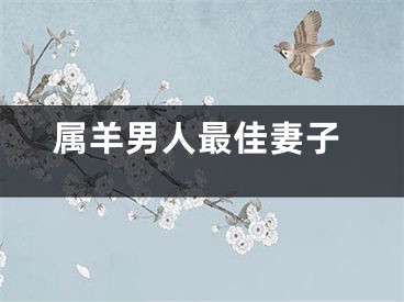 属羊男人最佳妻子